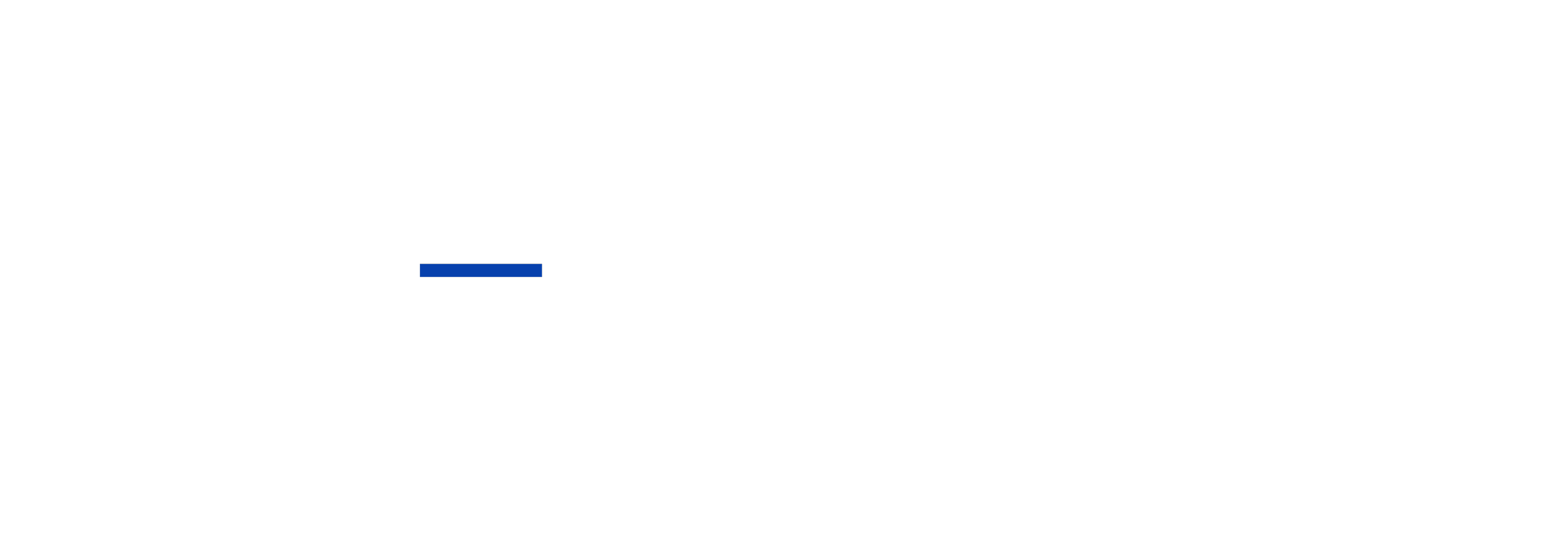 Prime Fleet Management Logo